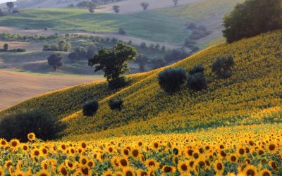 Seconda casa: gli stranieri lasciano il Chianti